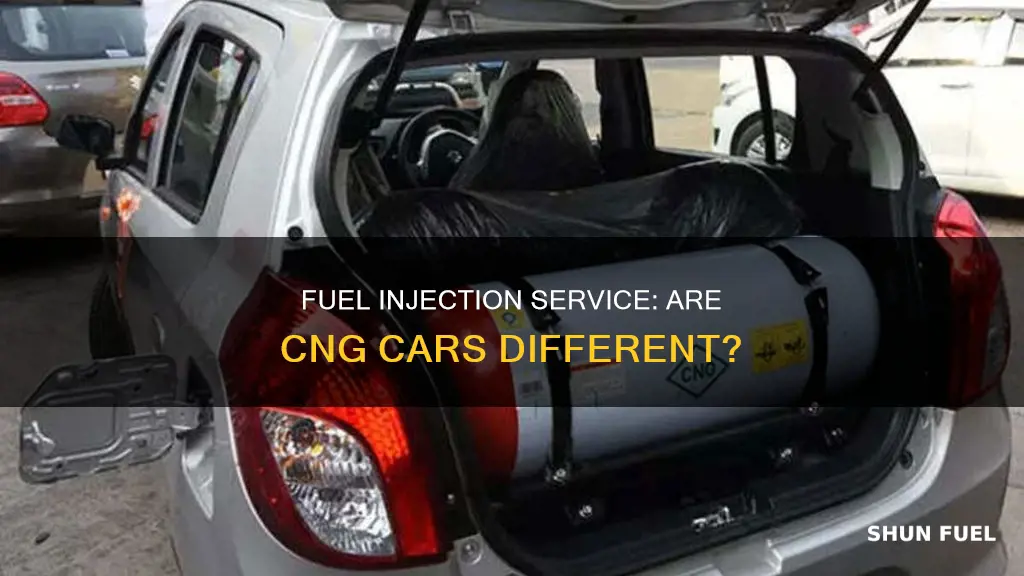 can you perform fuel injection service on cng cars