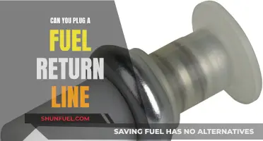 Fuel Return Line: Can You Plug It?