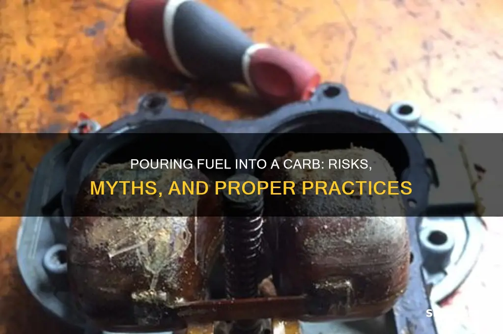 can you pour fuel into a carb