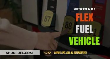 Flex Fuel Vehicle Compatibility: Can You Use 87 Octane Gas?