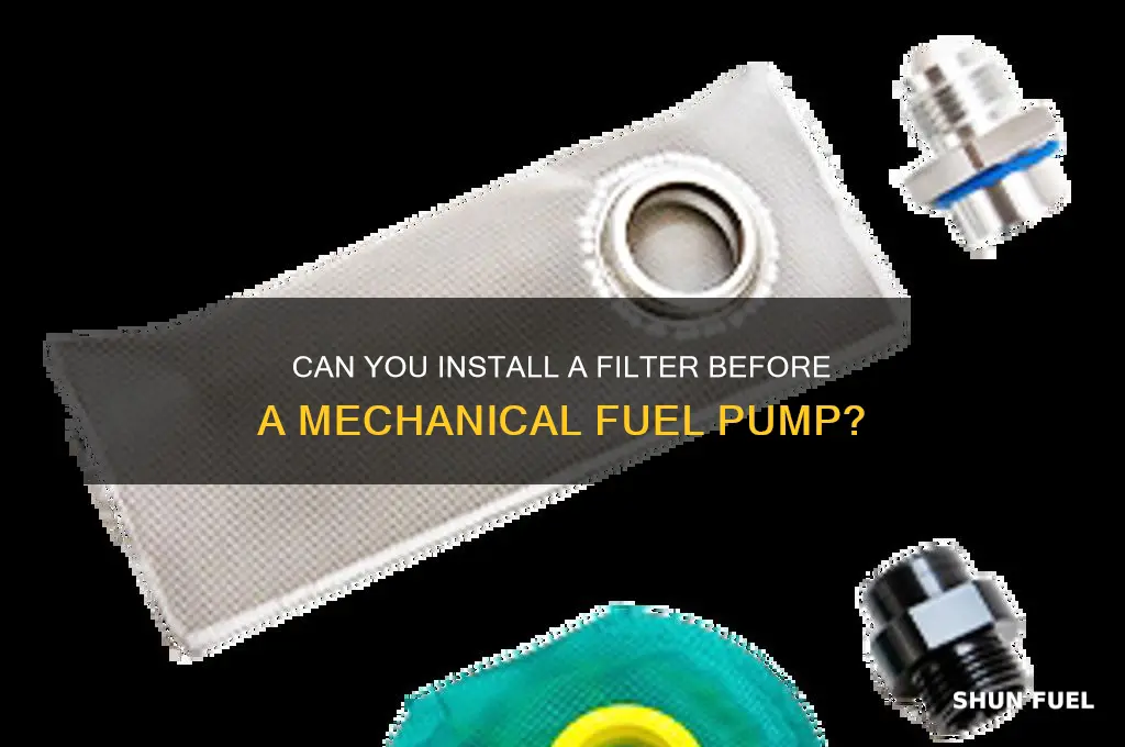 can you put a filter before a mechanical fuel pump