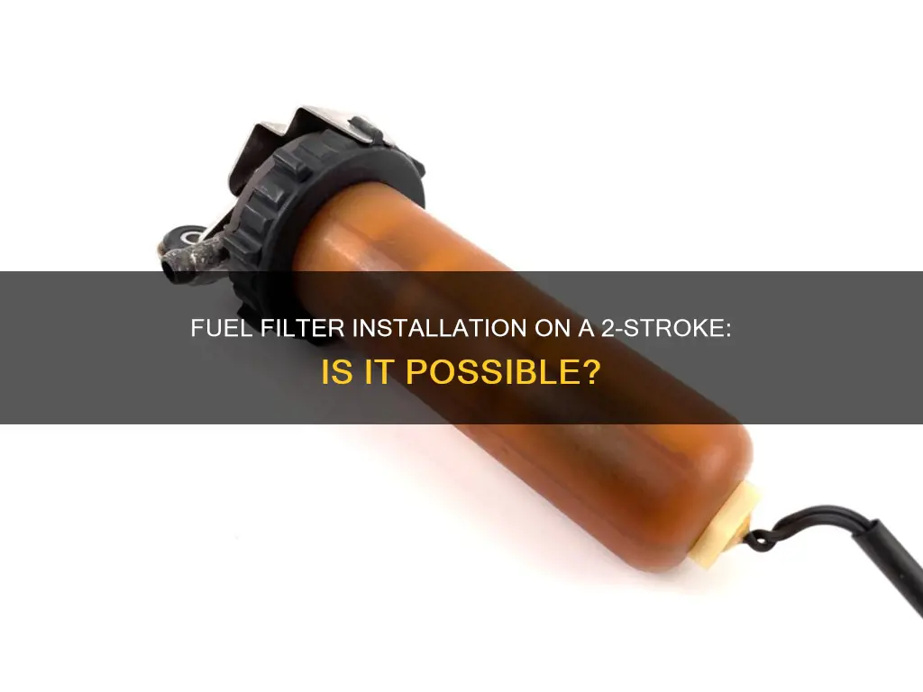 can you put a fuel filter on a 2 stroke