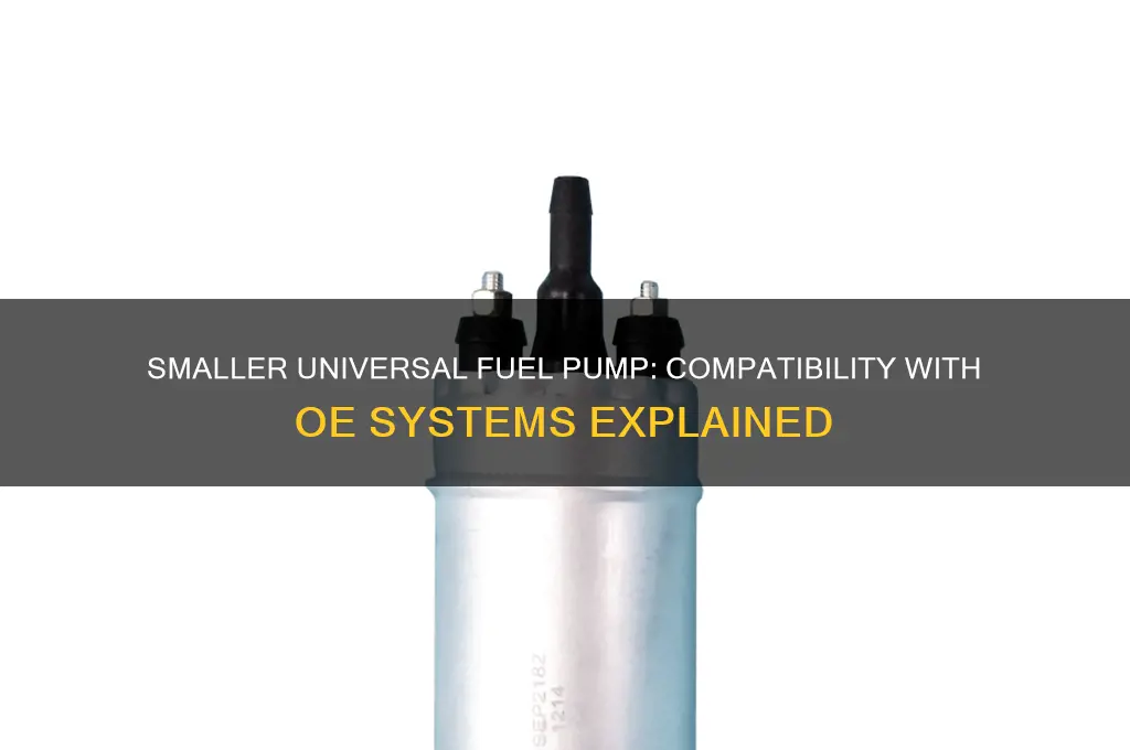 can you put a smaller universal fuel pump on oe