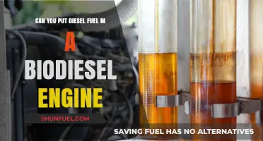 Biodiesel Engines: Can You Use Diesel Fuel?