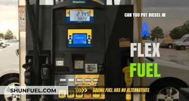 Flex Fuel Vehicles: Can You Use Diesel?