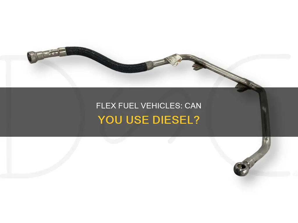can you put diesel in a flex fuel