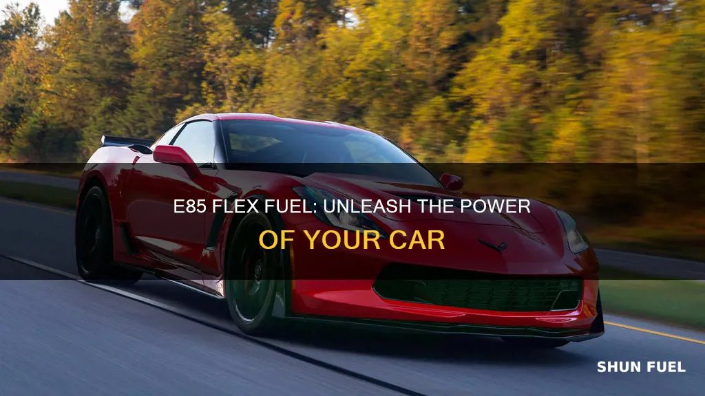 can you put e85 in a flex fuel car