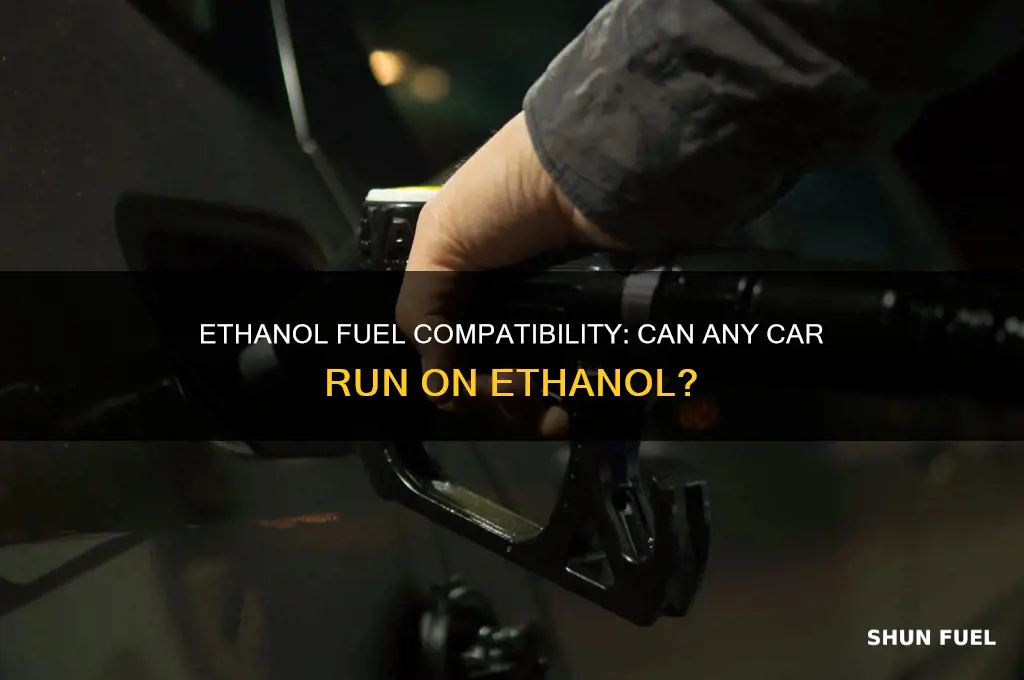 can you put ethanol fuel in any car