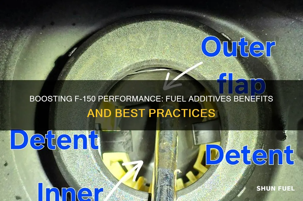 can you put fuel additives in a f 150