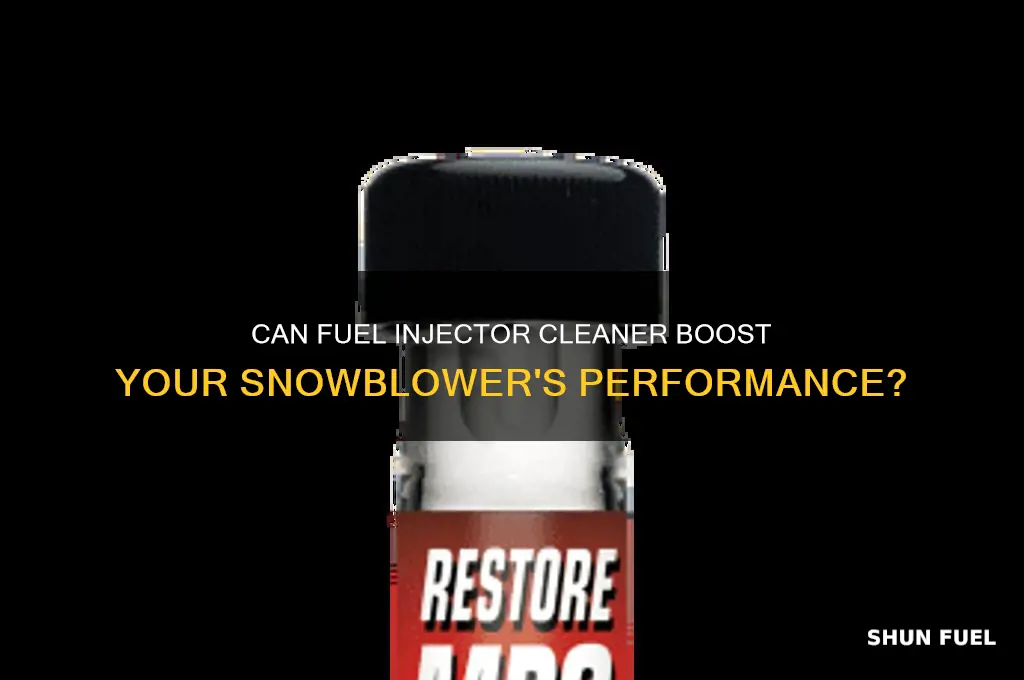 can you put fuel injector cleaner in a snowblower