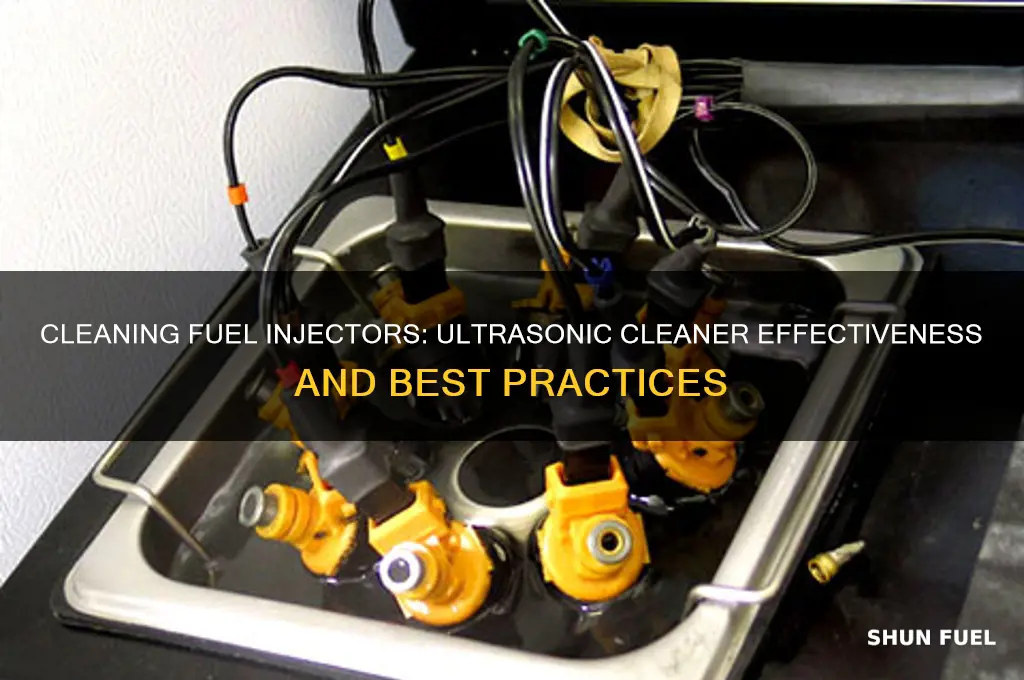 can you put fuel injectors in an ultrasonic cleaner