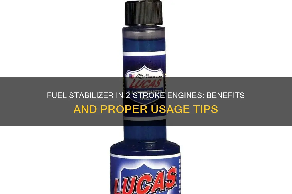 can you put fuel stabilizer in a 2 stroke
