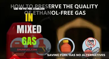 Fuel Stabilizer in Mixed Gas: Safe or Risky Practice?