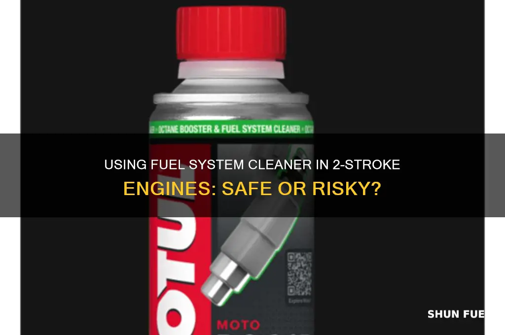 can you put fuel system cleaner in a 2 stroke