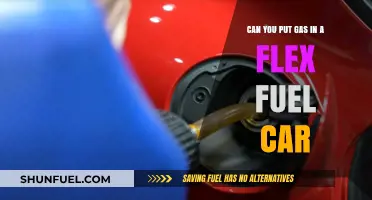Flex Fuel Car Gas Guide: Can You Use Regular Gasoline?
