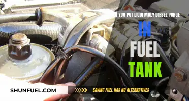 How Liqui Moly Diesel Purge Protects Your Fuel Tank