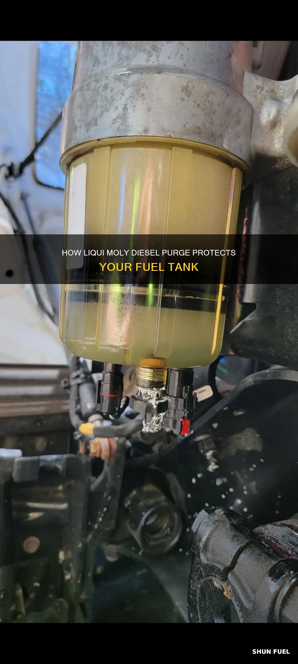 can you put liqui moly diesel purge in fuel tank