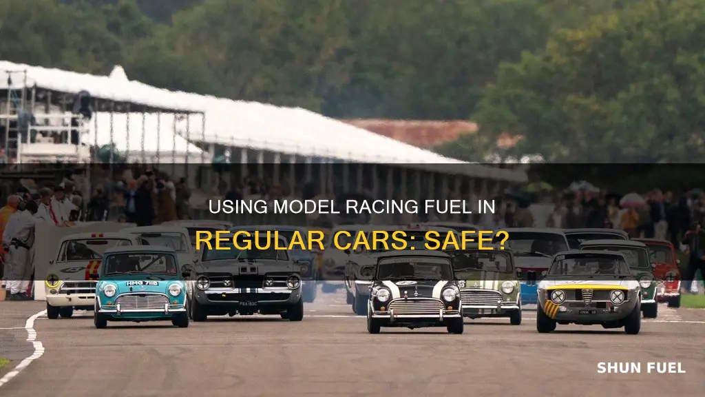 can you put model racing fuel in car