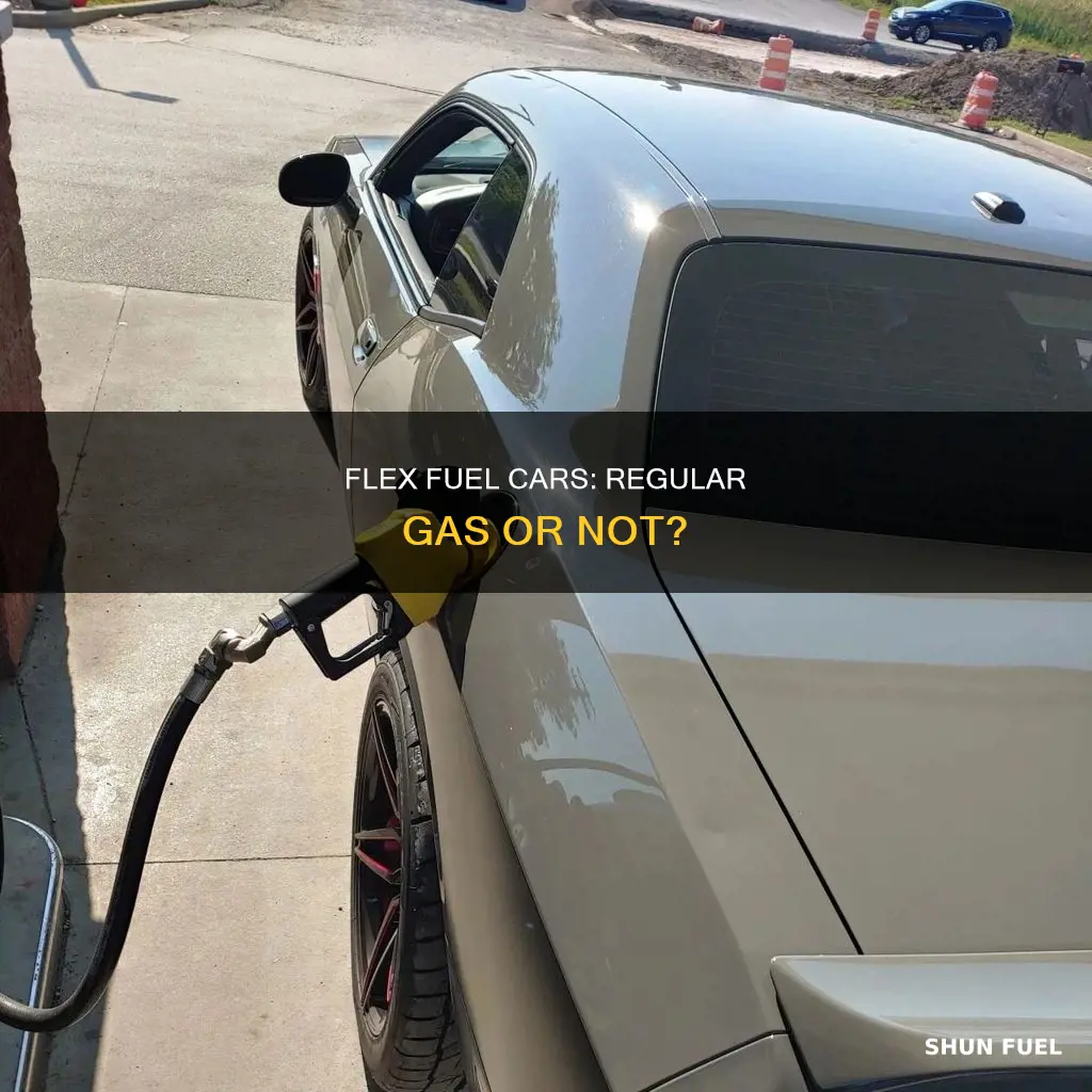 can you put reg gas flex fuel car
