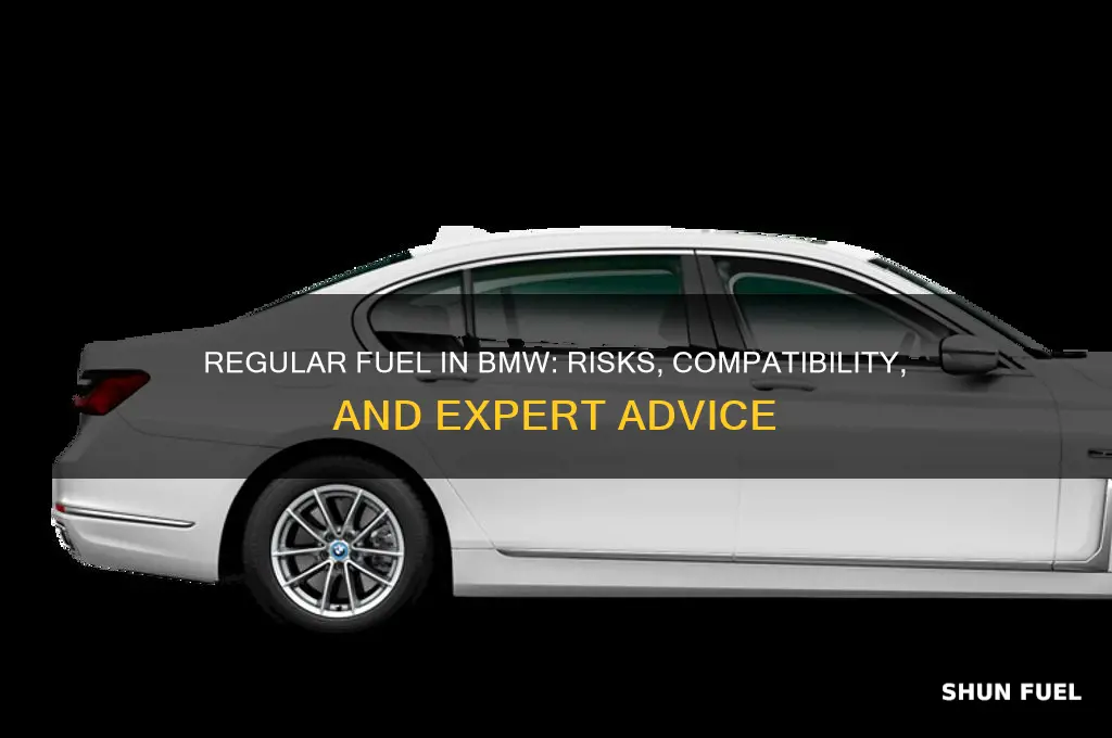 can you put regukar fuel in bmw
