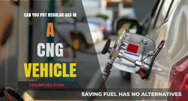 Exploring Fuel Flexibility: Can Regular Gas Power a CNG Vehicle?