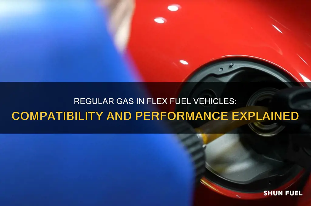 can you put rwgular gas in a flex fuel vehicle