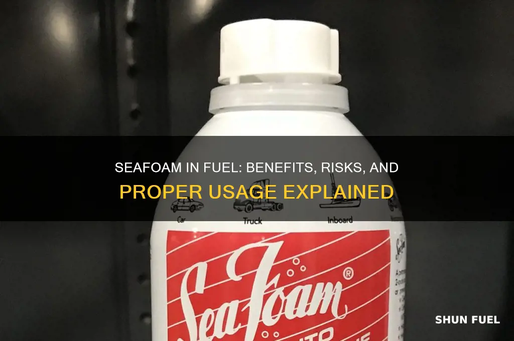 can you put seafoam in your fuel