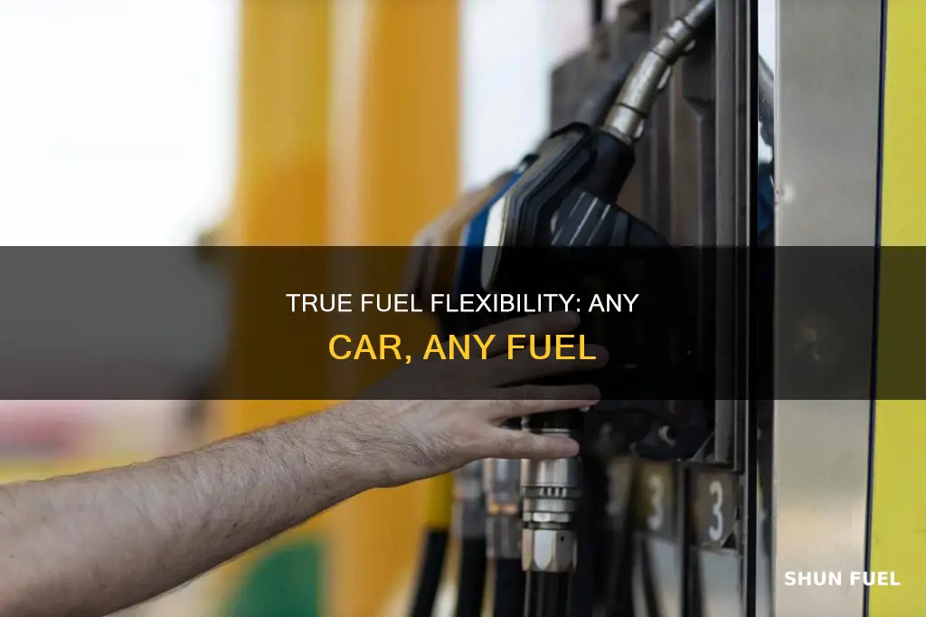 can you put true fuel in any car
