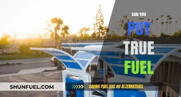 Can You Put True Fuel in Your Vehicle? Facts and Myths