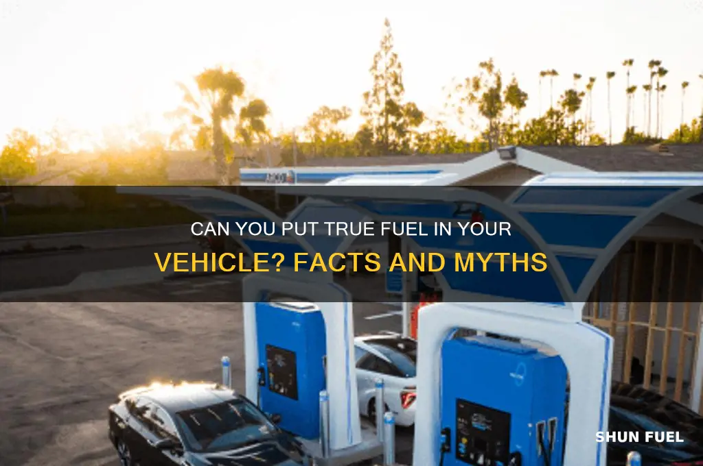 can you put true fuel