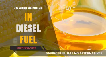 Vegetable Oil in Diesel: Is It a Good Idea?