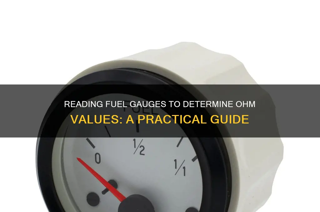 can you read a fuel gauge to detrem ohm values