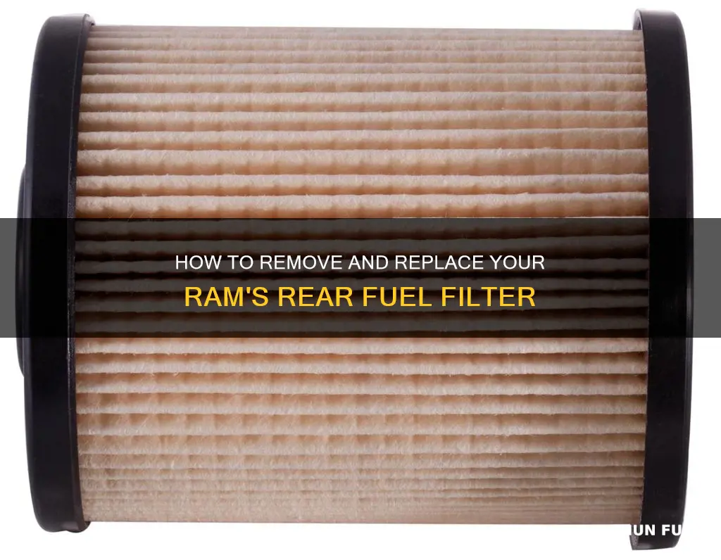 can you remove ram rear fuel filter