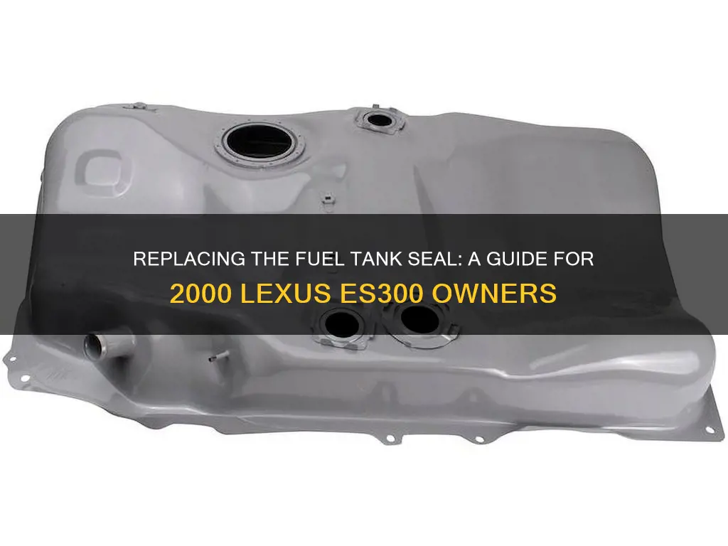 can you replace a 2000 lexus es300 fuel tank seal