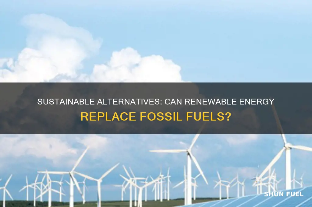 can you replace fossil fuel