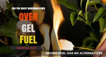Roasting Marshmallows Over Gel Fuel: Safe, Effective, or Risky?