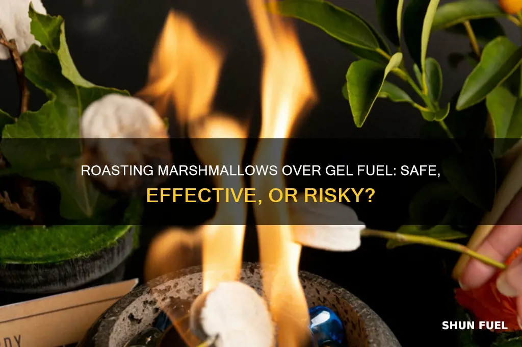 can you roast marshmallows over gel fuel