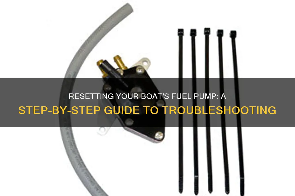 can you rset a fuel pump on a boat