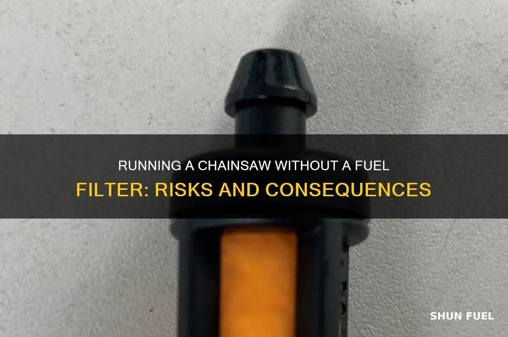 can you run a chainsaw without a fuel filter