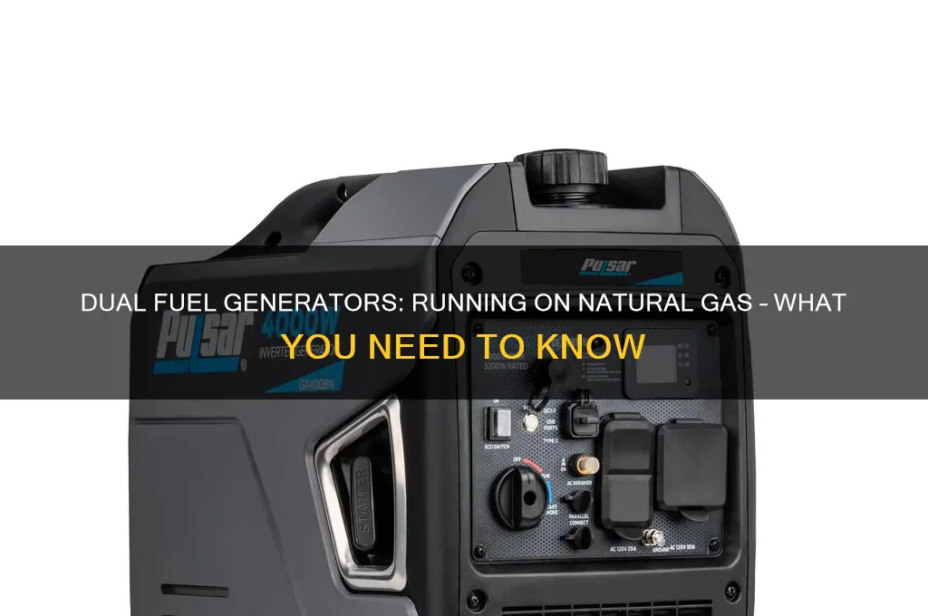 can you run a dual fuel generator on natural gas