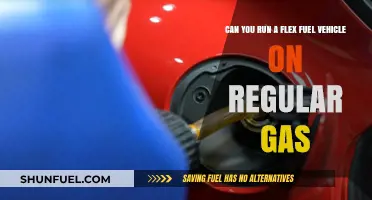 Flex Fuel on Regular Gas: What You Need to Know