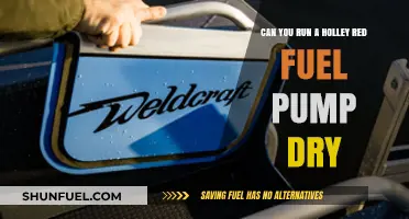 Running a Holley Red Fuel Pump Dry: Risks and Best Practices