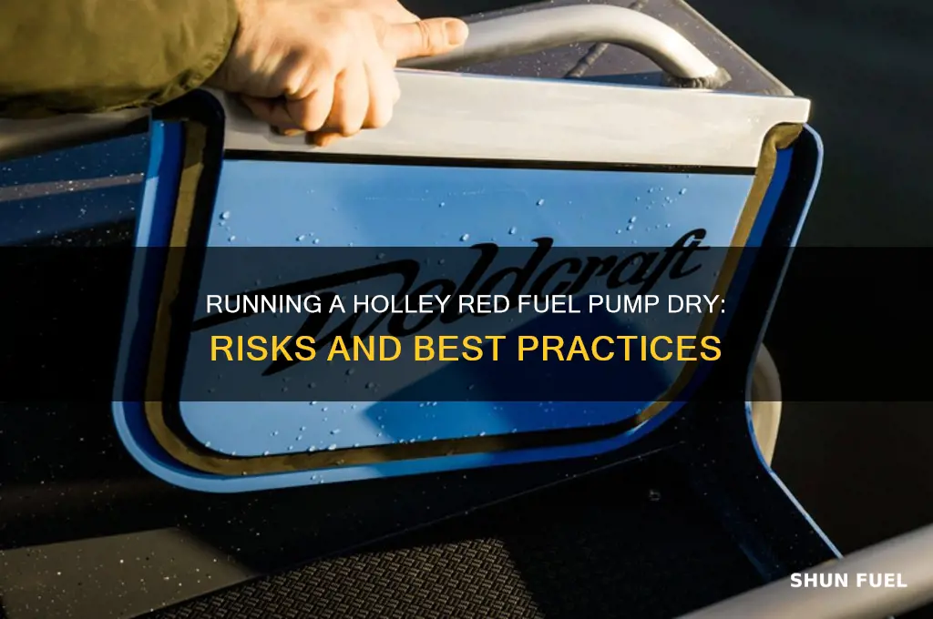 can you run a holley red fuel pump dry