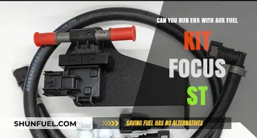 E85 Fuel Kit for Focus ST: Performance Upgrade or Risk?