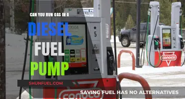 Gas in a Diesel Fuel Pump: What Could Go Wrong?