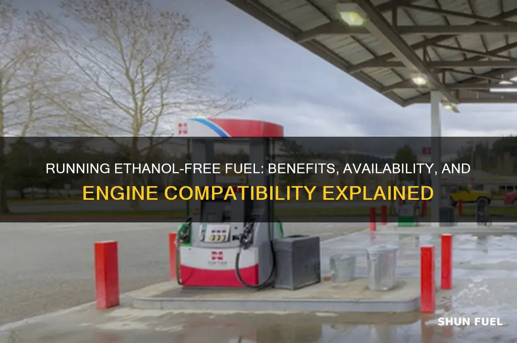 can you run no ethanol fuel