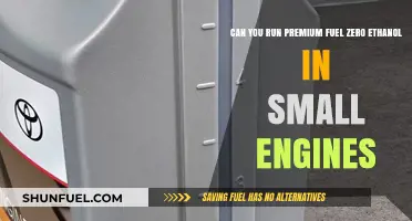 Premium Fuel Zero Ethanol: Safe for Small Engines?
