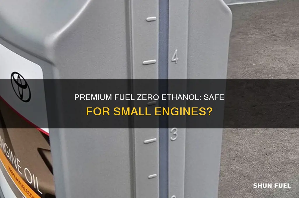 can you run premium fuel zero ethanol in small engines