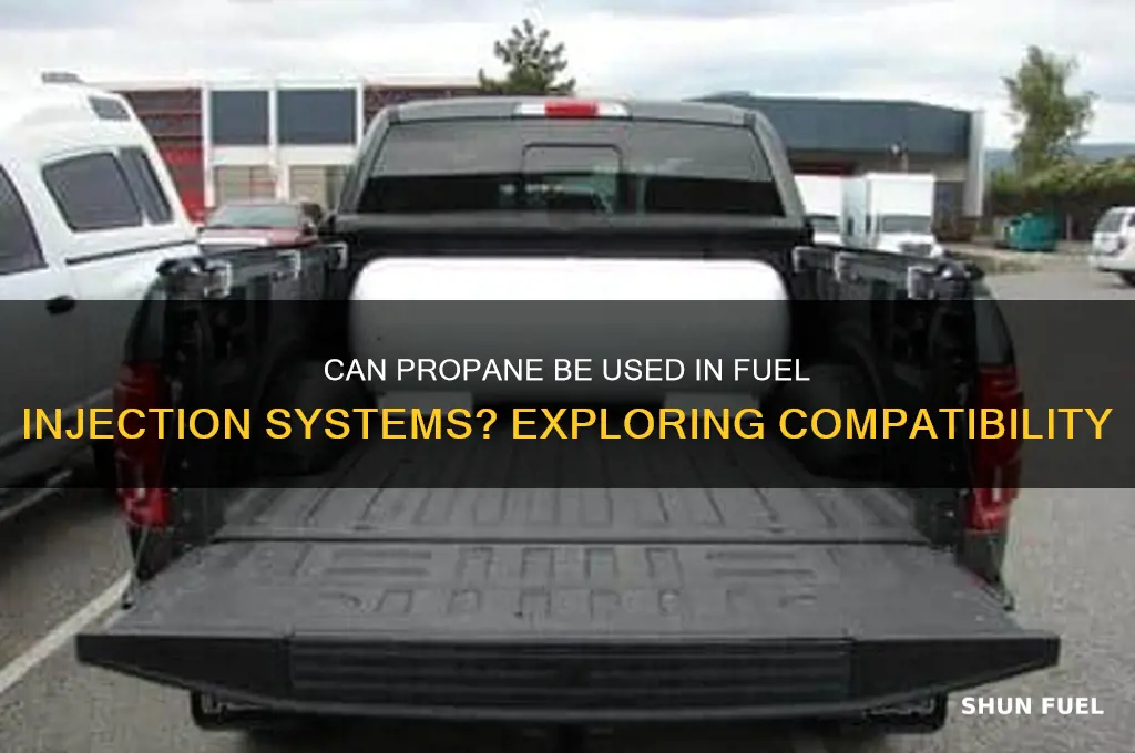 can you run propane thru fuel injrction nozel