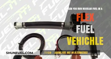 Regular Fuel in Flex Fuel Vehicles: Compatibility and Performance Explained